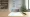 Understanding the Doctrine of Estoppel in Real Estate