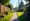 How to Investigate Easements on a Property: Key Steps for Title Research